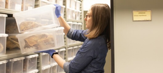 Is the Natural History Museum digitizing its collections to save space? Is the Natural History Museum digitizing its collections to save space?