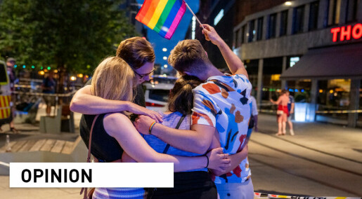 LGBT rights and the Oslo terror attack: This is about whether or not to accept human rights at all