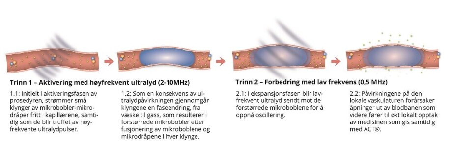 The principle of ‘Acoustic Cluster Therapy’, ACT.