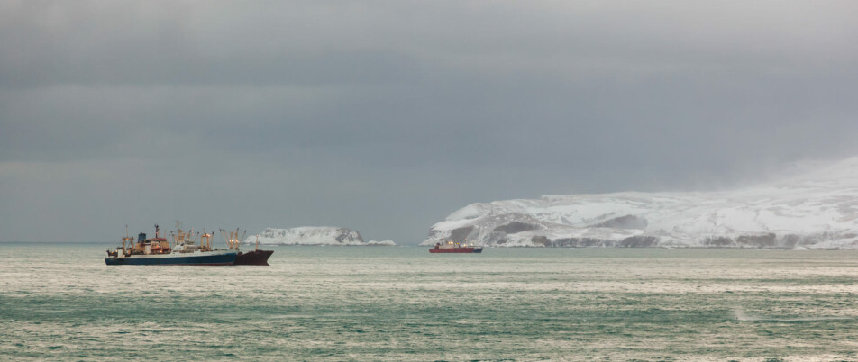 Ship traffic in the waters off of the Svalbard archipelago and south to Bear Island is on the increase, especially as the area contains prime fishing grounds.