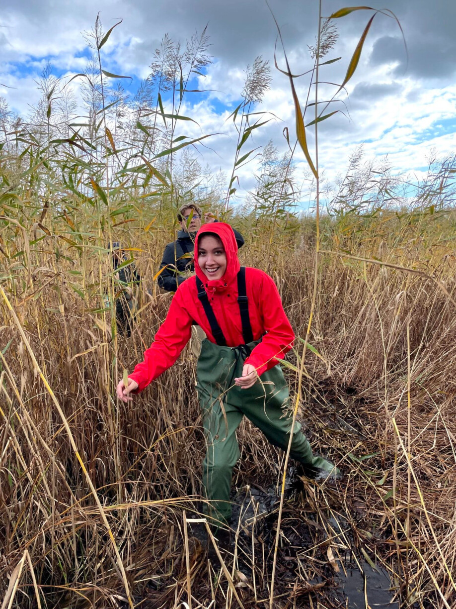 Research scientist Emily Cowan is looking for salt marsh species and studying the habitat’s ability to sequester CO2. Here she is in a reed bed outside Stockholm.