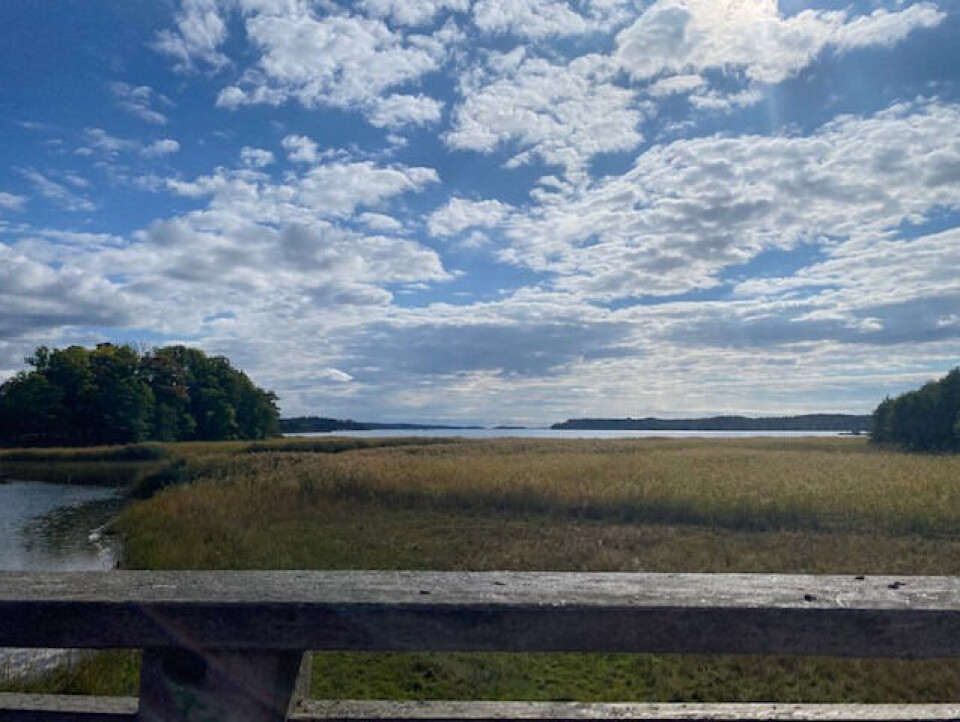 A salt marsh outside Stockholm.