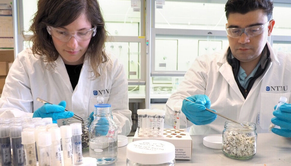 Postdoctoral fellow Gabriela Castro Varela (left) and professor Alexandros Asimakopoulos (right) in the laboratory.