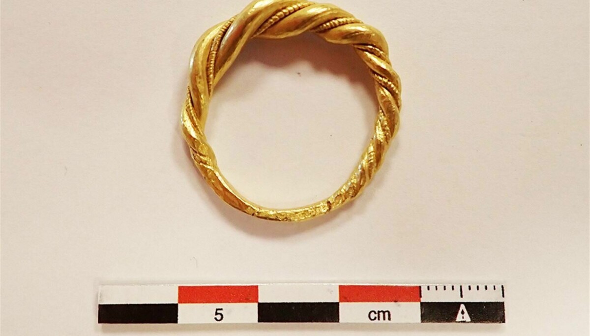 Dubbelzinnig Jurassic Park Pessimistisch This gold ring once belonged to a powerful Viking Chief. It was found in a  pile of cheap jewellery auctioned off online