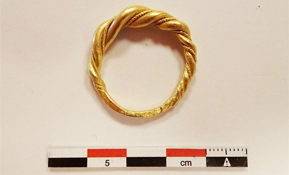 This heavy gold ring, recently discovered in a pile of cheap jewellery stuffed in a banana box and auctioned off online, once belonged to a rich and powerful Viking chief.