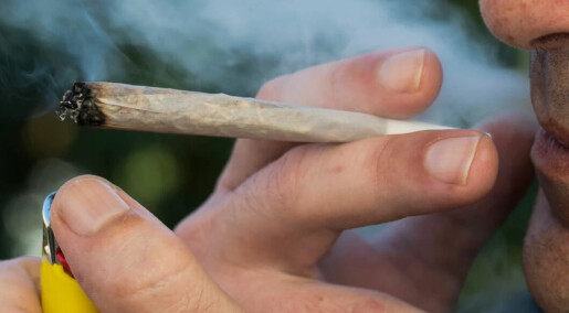 No decriminalisation of drugs in Norway yet: Being caught with a joint can still have major consequences No decriminalisation of drugs in Norway yet: Being caught with a joint can still have major consequences