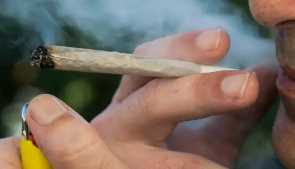 No decriminalisation of drugs in Norway yet: Being caught with a joint can still have major consequences
