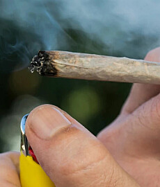No decriminalisation of drugs in Norway yet: Being caught with a joint can still have major consequences