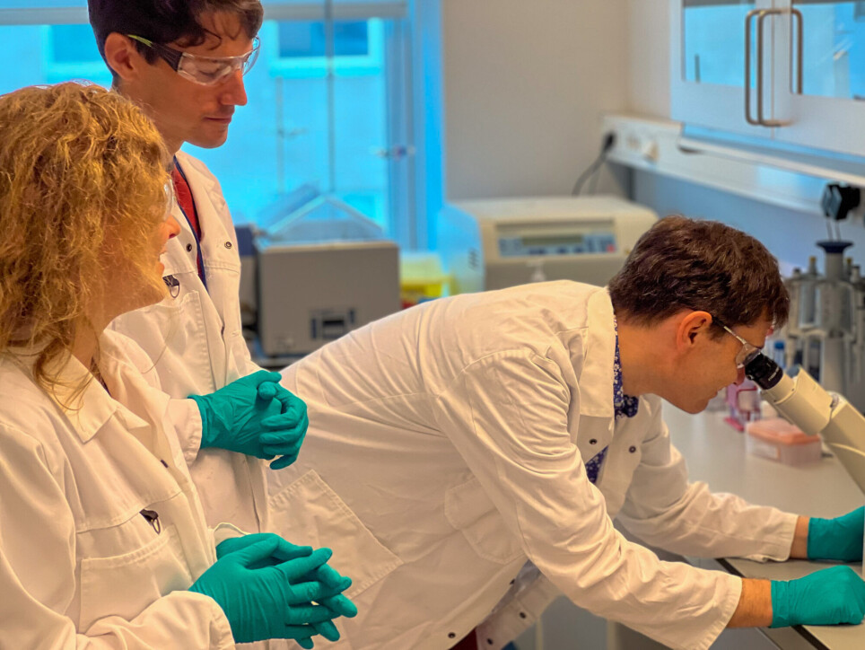 “In practice what we’re doing is hacking into a cell so that we can reverse its wiring and enable it to focus on maintaining its DNA”, SINTEF researcher Torkild Visnes says.