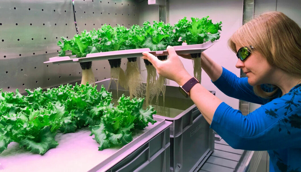 Astronauts require food and drink just like the rest of us, but space is an inhospitable environment and so researchers need to find out what plants can actually be grown there.