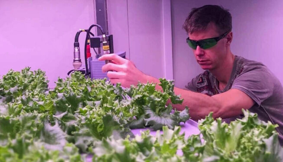 Here Øyvind grows lettuce without using soil. There is no soil on the moon and Mars. He puts the lettuce roots directly into water containing a nutrient solution.