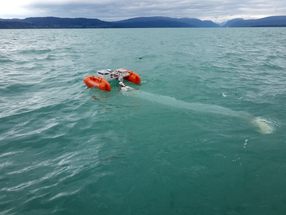 Here’s what Pamela looks like in action, in this case, sampling for salmon lice in Hardanger Fjord.