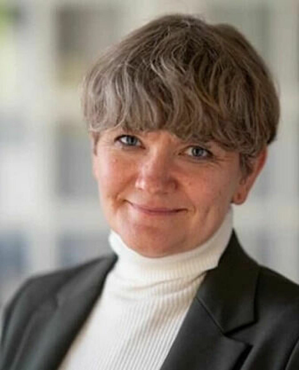 Ragnhild Louise Muriaas is professor of political science at the University of Bergen.