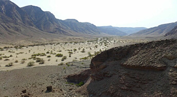 Norwegian fjords gave researchers the idea of how a desert landscape in Namibia came to be