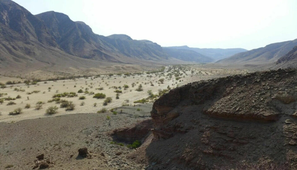 This U-shaped desert valley in Kaokoland in North Western Namibia was once up on a time shaped by a glacier, and then turned into a deep fjord, researchers believe. Much like the fjords on the west coast of Norway.