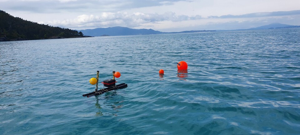 Cost-effective monitoring of salmon lice larvae