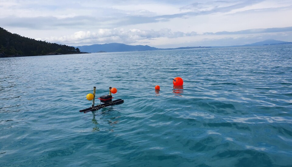 The lice trap being tested on the Hardanger coast.