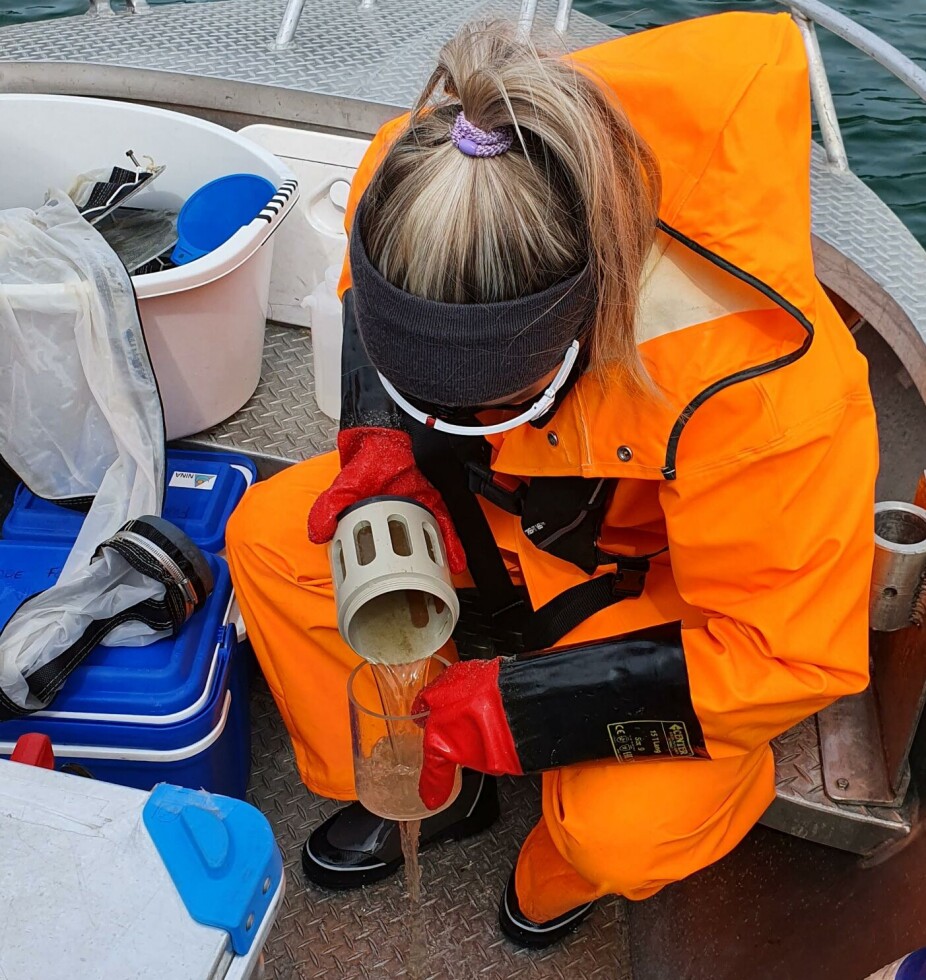 The net filters the water and collects lice larvae and other plankton.