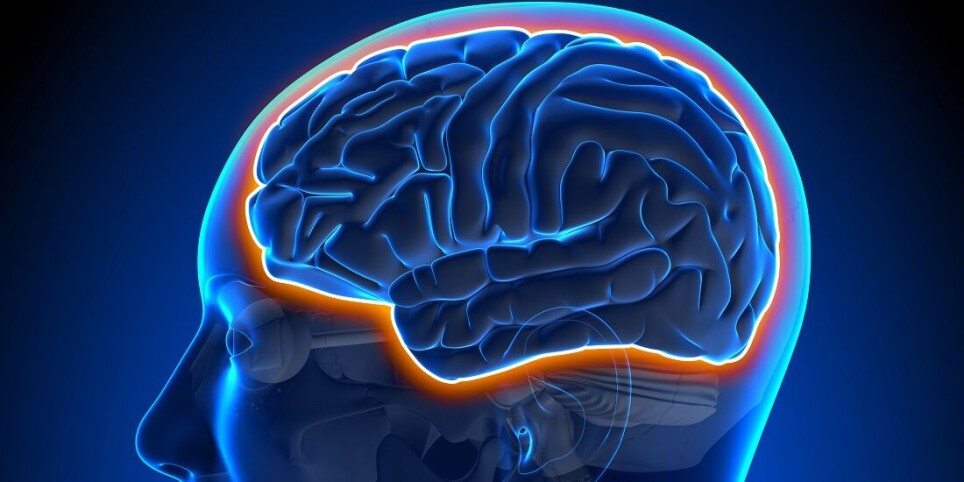 Introducing medication into the brain can be difficult, because the brain has an effective filter. But new technology makes it easier, and researchers are now ready to test the method on patients with brain cancer.