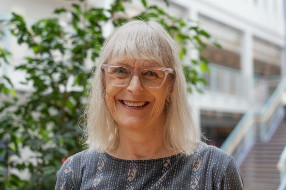 Professor Maja-Lisa Løchen, Professor of Preventive Medicine at UiT.