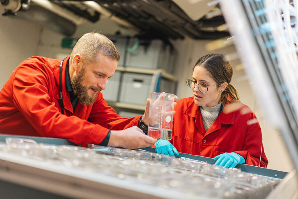 Senior Research Scientist Andreas Hagemann and PhD student Andrea Rodriguez are studying a ragworm following an experiment.
