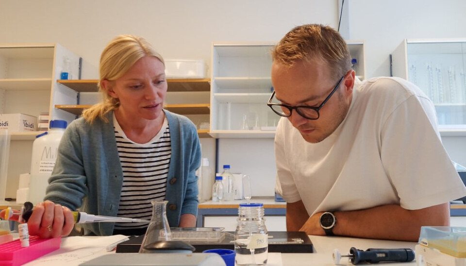 Associate professor Johanne Egge Rinholm (left) and research fellow Lauritz Kennedy (right).