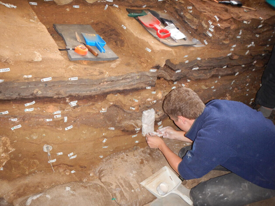 BLOCK OF SEDIMENT: Magnus Haaland taking a block section from a profile at Blombos Cave.