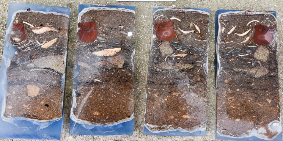 TRAPPED OCHRE: The large ochre piece cut into fragments in an impregnated block section.