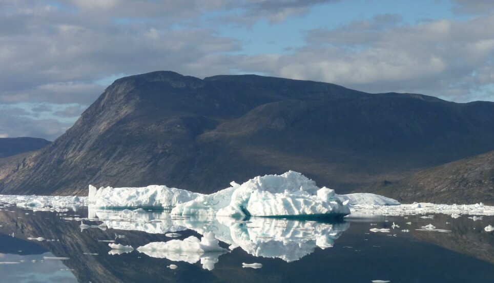 Icebergs from the glacier.