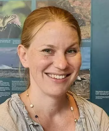 Lena Sannæs works at ARKIVET Peace and Human Rights Centre in Kristiansand.