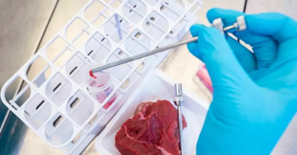 They said lab-grown meat was the future. So how come it's still not on our dinner tables?