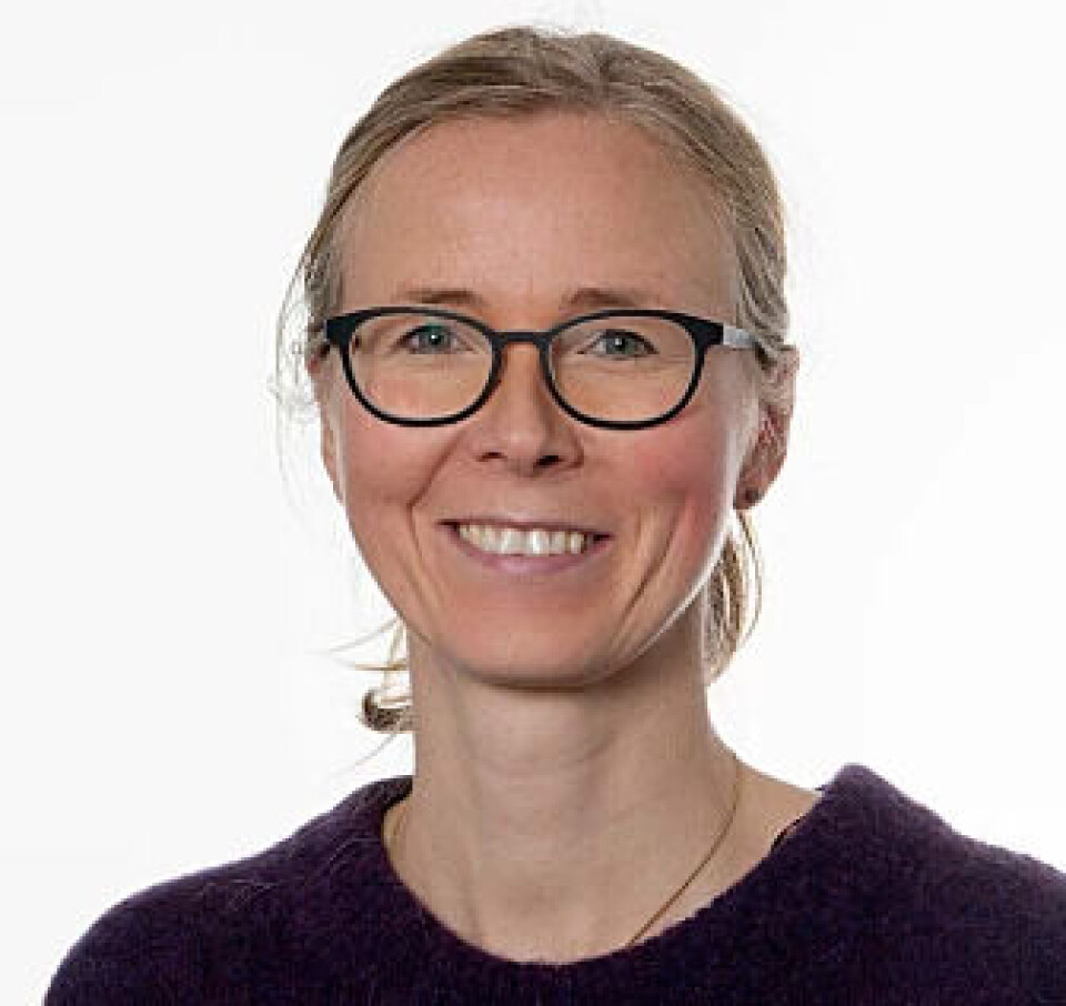 Project manager Tone Mari Rode.