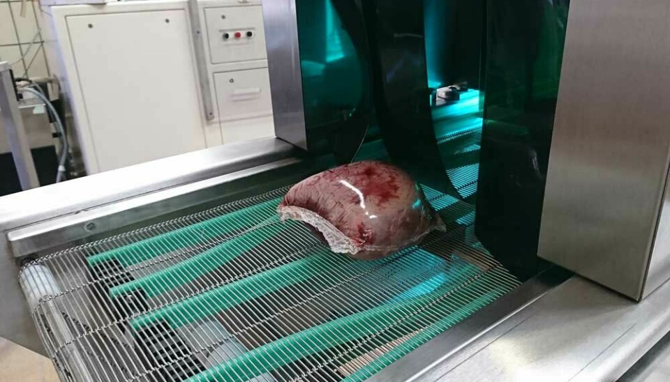 Vakuum packed meat going into to the UV-C-tunnel.
