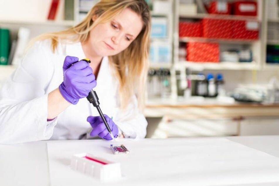Engineer Marianne H.S. Hansen in Nofima’s lab has analysed large amounts of genetic material in order to build up a database of gene activity, which forms the basis for the test.