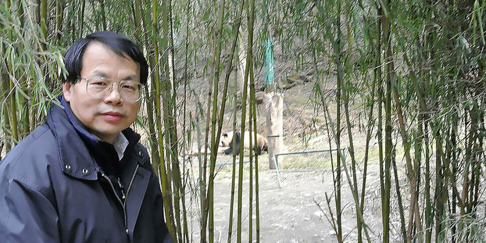 Jianguo (Jack) Liu in the field.