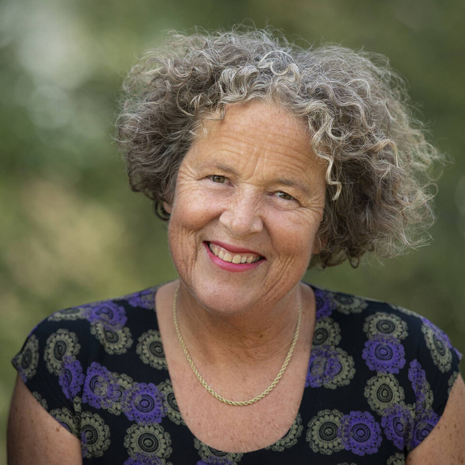 'There are many discussions about clothes and the environment. Most go in circles, and do not help,' Professor Ingun Grimstad Klepp says.
