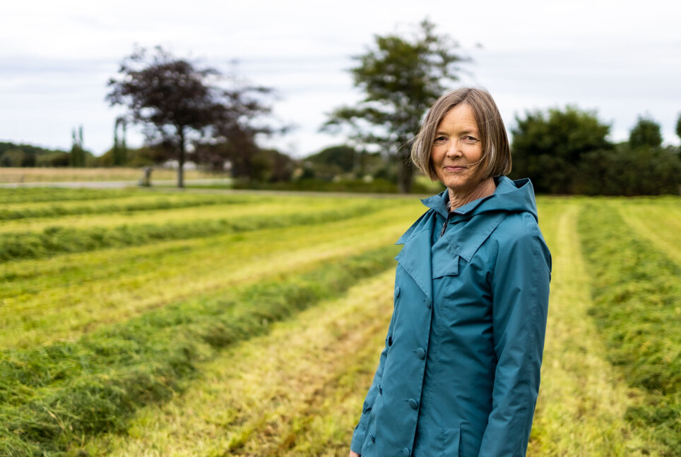 Farmers in Rogaland have used poison in the fields and on fruit trees and berry bushes already from the early 20th century. This emerges from the doctoral thesis by the conservator and researcher Anne Jorunn Frøyen, here in a farmer's field somewhere in Jæren.