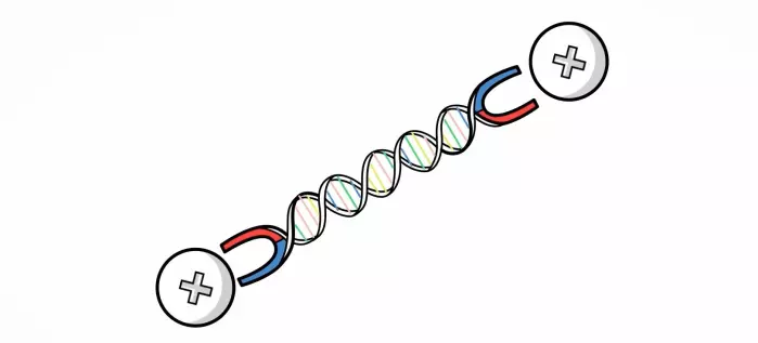 Screenshot of DNA techonology taken from video animation.