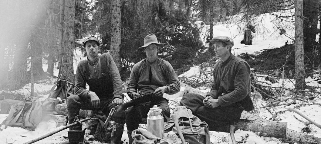 Men of the forest: What was it like to be a lumberjack?