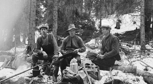 Men of the forest: What was it like to be a lumberjack? Men of the forest: What was it like to be a lumberjack?