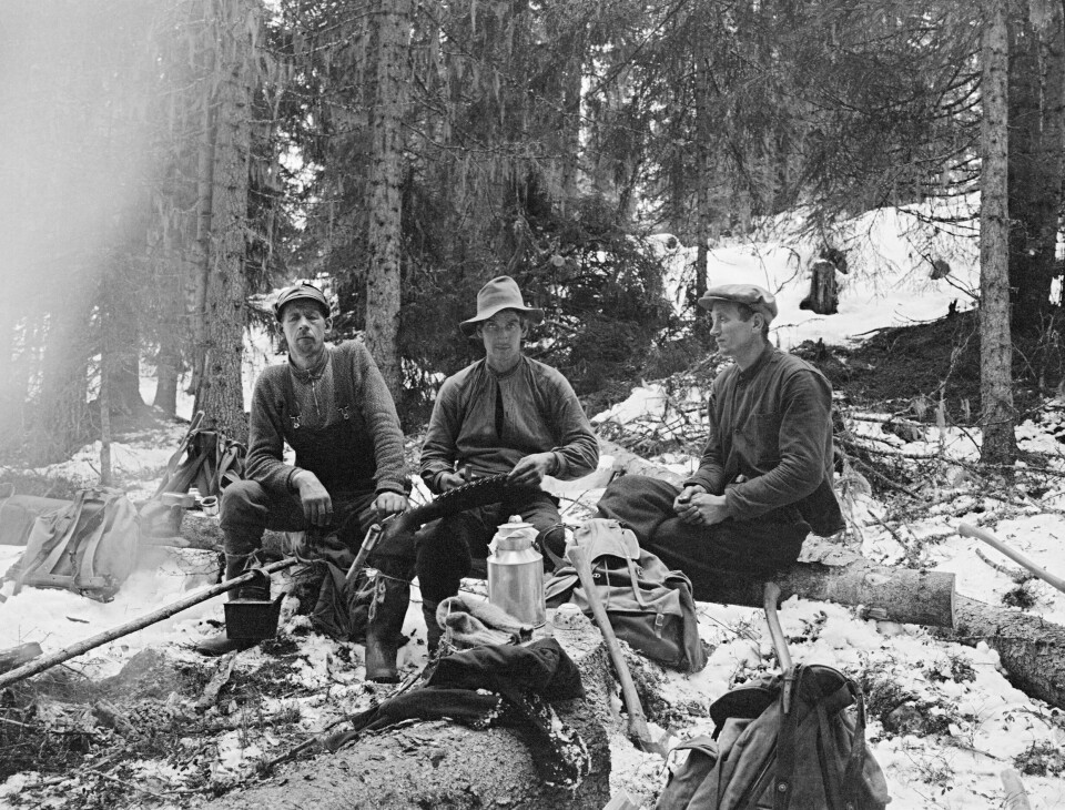 Tens of thousands of Norwegians worked in the forest in the first half of the 20th century. This picture is of loggers taking a break in the field in the 1920s.