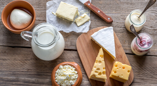 No simple link between dairy products and heart disease