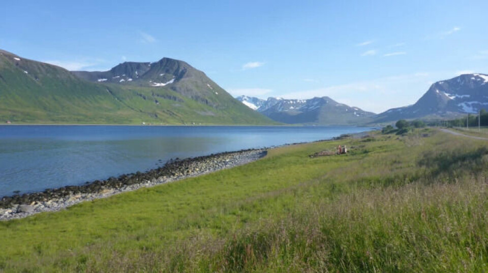 The researchers analysed samples from Langfjordvannet, a lake on Arnøya, that go back more than 16 000 years.