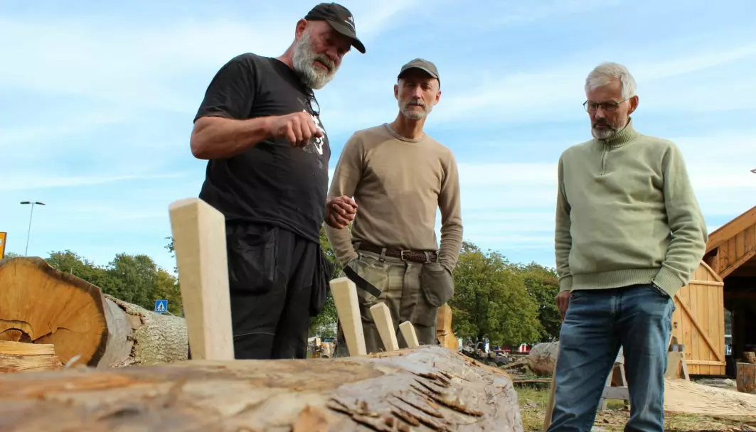 Woodworkers Tore Forsberg (left) and Jan Knutsen and researcher Svein Solberg from NIBIO ponder why this log refuses to be split.