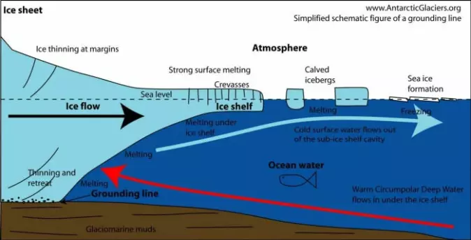 A graphic showing the front of a glacier where it meets seawater. The ice shelf protrudes at the top. The grounding line, where the glacier lies on the bedrock, is marked with a black arrow (grounding line).