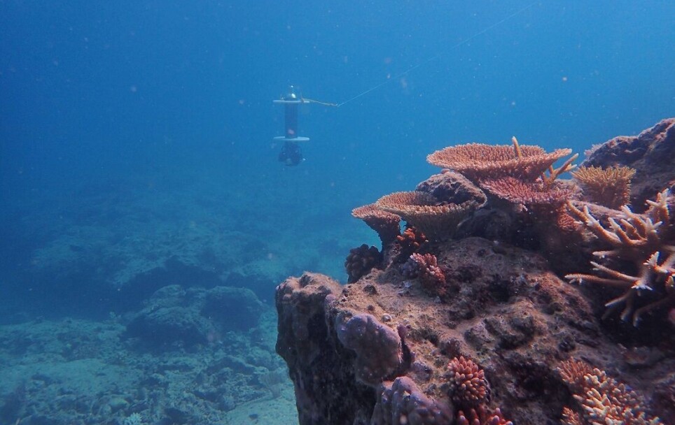 Developing simpler underwater robots can provide a lower threshold for continuously monitoring the marine environment: Here one of Oscar Pizarro's prototypes is being tested at Lizard Island in the Great Barrier Reef, Australia.