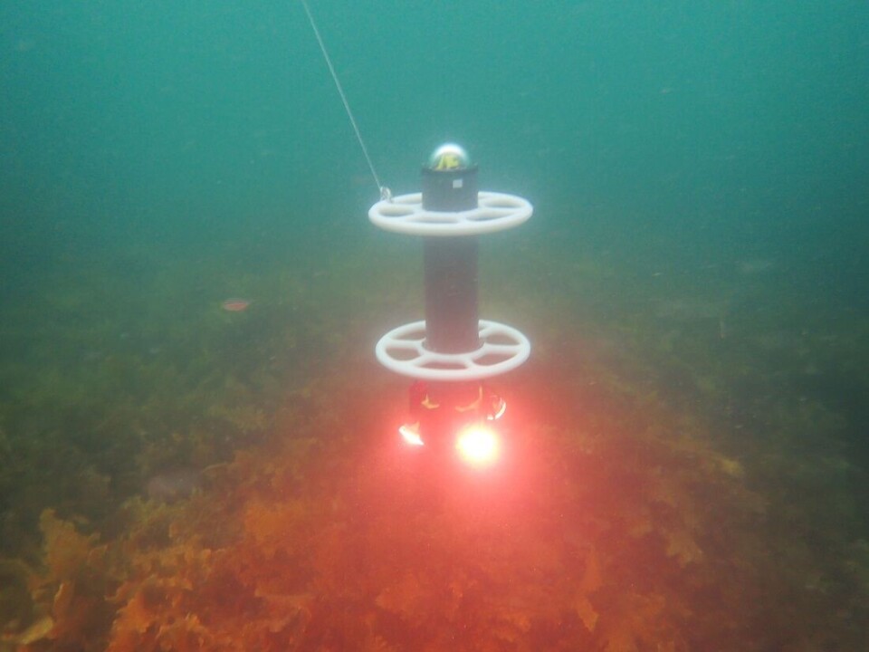 Mapping the marine environment is important to get an overview of the effect of human activities on seas and lakes. Here, a prototype is being tested in Sydney, Australia in February 2021.