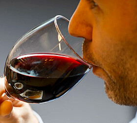 Highly educated people drink alcohol more often than those with less education