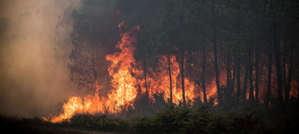 Climate change journalism: Green shifting the news cycle
