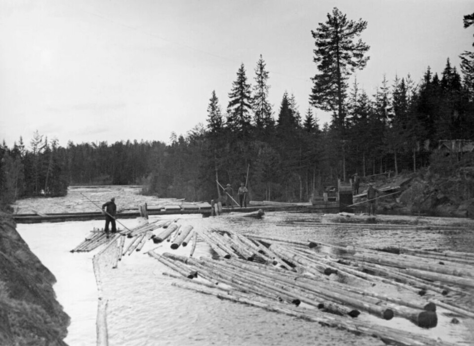Notice the man standing on the log. Log driving was an important part of the logging industry. This picture is from the Haugsåvassdraget in Nord-Odal in 1936.